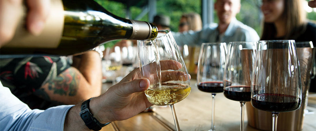 How to taste, describe, pair and decant wine – beginner’s wine tasting guide. Photo by Caroline Attwood on Unsplash
