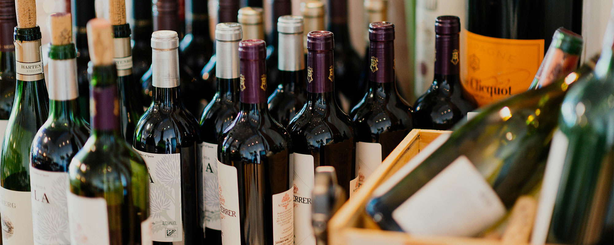 Discover our curated wine selection, featuring red, white, and sparkling wines for every occasion. Photo by Chuttersnap on Unsplash