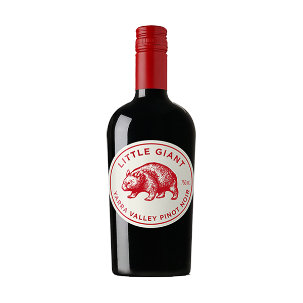 Little Giant Pinot Noir with strawberry, cherry, and a smooth, textural finish.