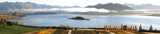 Spotlight on New Zealand