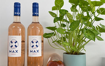 Browse a selection of dry and refreshing rosé wines, featuring vibrant flavours and a crisp finish. Find the perfect rosé at VinoClock.